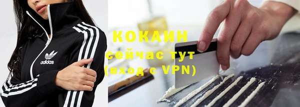 гашик Лабытнанги