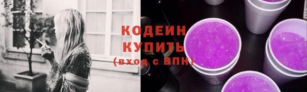 гашик Лабытнанги