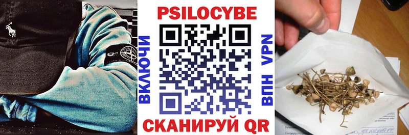 Псилоцибиновые грибы мицелий Мегион